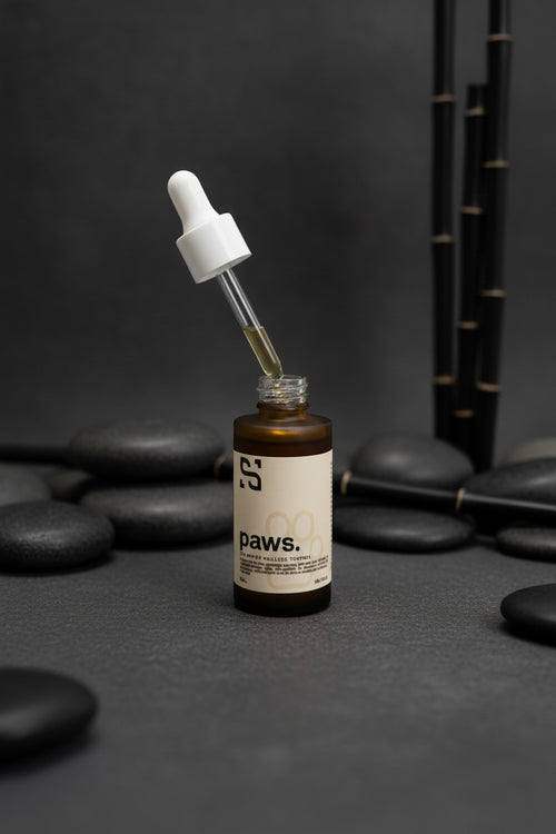 Paws CBD Wellness Tincture 500mg